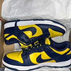 Nike Dunk Michigan 2020